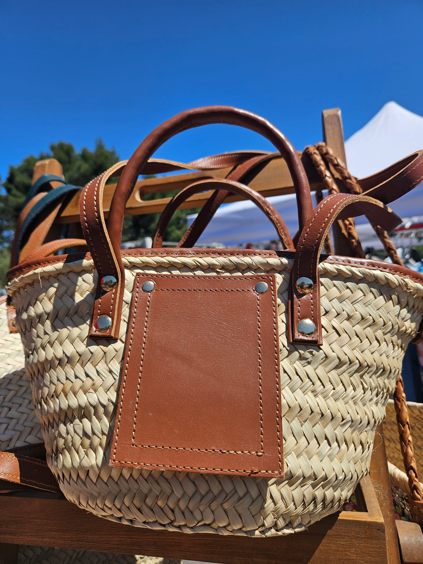 Sac Saba camel